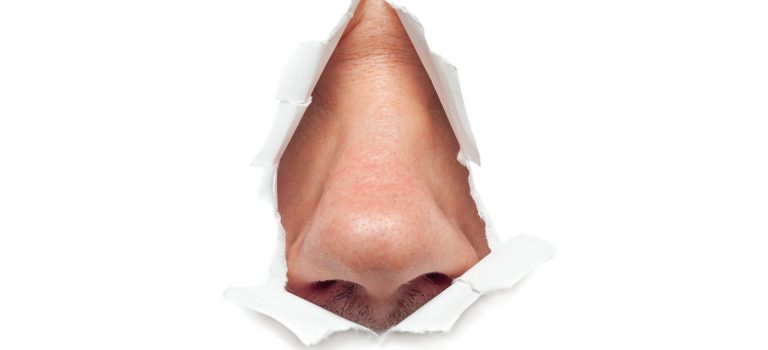 Die Bedeutung der Nasenatmung: Stickstoffmonoxid-Produktion und Gesundheitsvorteile
