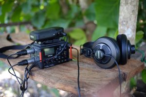 360personality_interview_nicorolli
